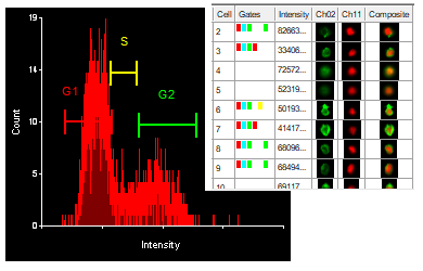 FullyInteractiveDataAnalysisWithDataGrids