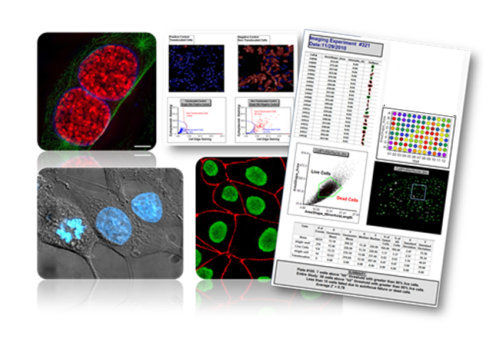 define cytometry