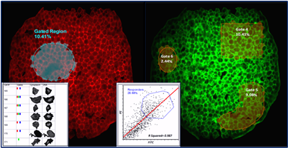 Image Cytometry Application Examples