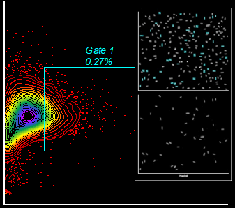 define cytometry